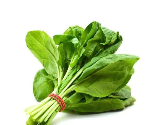 青江菜究竟是什么菜
