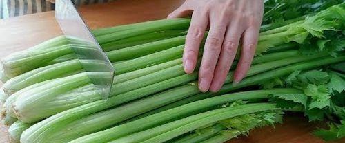 芹菜的浇水频率及注意事项视频