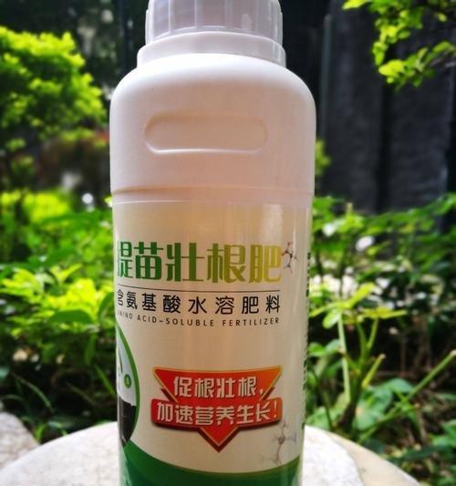 琴叶榕适合什么肥料