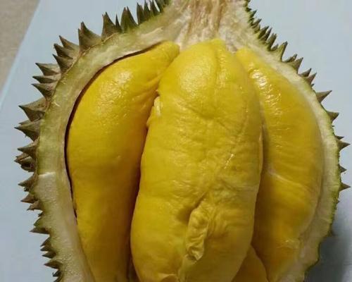 马来西亚榴莲好吃吗