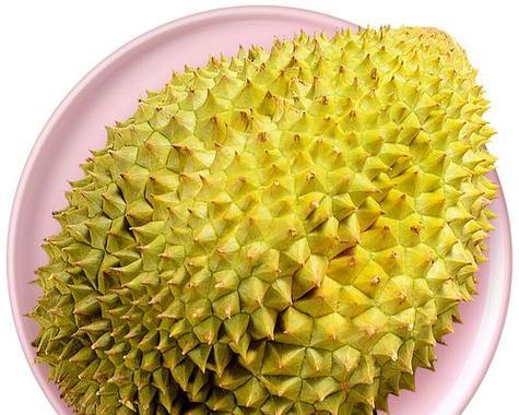 榴莲的成熟期和上市时间一样吗